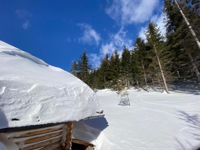 Alpenchalet Grabner Alm Am Praebichl Almhauser Exterior photo
